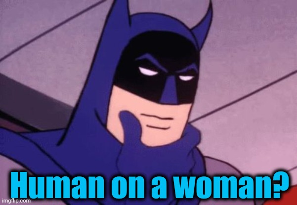 Batman Pondering | Human on a woman? | image tagged in batman pondering | made w/ Imgflip meme maker