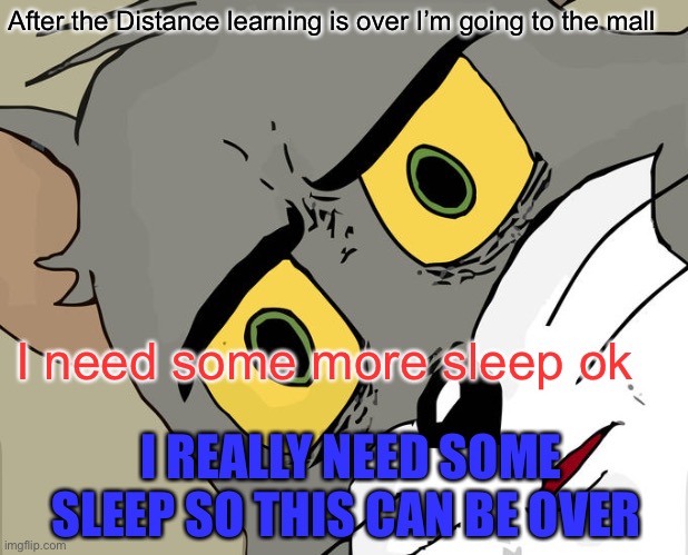 Distance learning is boring | After the Distance learning is over I’m going to the mall; I need some more sleep ok; I REALLY NEED SOME SLEEP SO THIS CAN BE OVER | image tagged in memes | made w/ Imgflip meme maker