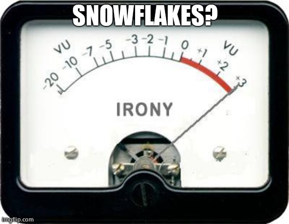 Irony Meter | SNOWFLAKES? | image tagged in irony meter | made w/ Imgflip meme maker