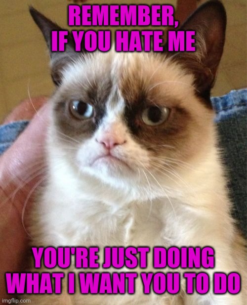 What's wrong with my pessimist brain | REMEMBER, IF YOU HATE ME; YOU'RE JUST DOING WHAT I WANT YOU TO DO | image tagged in memes,grumpy cat | made w/ Imgflip meme maker