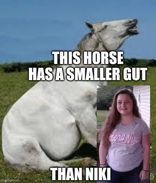 THIS HORSE HAS A SMALLER GUT; THAN NIKI | made w/ Imgflip meme maker