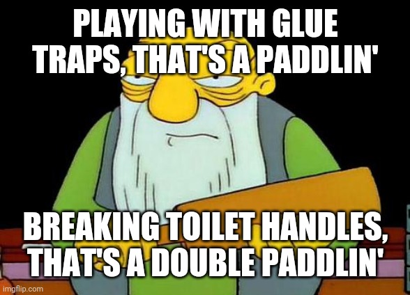 Dont play with glue traps - and definitely never ever break toilet handles - ever | PLAYING WITH GLUE TRAPS, THAT'S A PADDLIN'; BREAKING TOILET HANDLES, THAT'S A DOUBLE PADDLIN' | image tagged in memes,that's a paddlin' | made w/ Imgflip meme maker