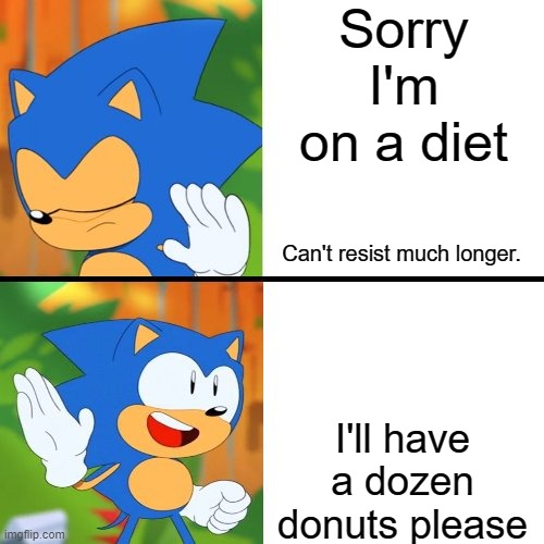 Sonic Mania  | Sorry I'm on a diet; Can't resist much longer. I'll have a dozen donuts please | image tagged in sonic mania | made w/ Imgflip meme maker