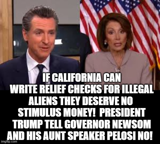 If California Can Write Relief Checks For Illegal Aliens They Deserve No Stimulus Money! | IF CALIFORNIA CAN WRITE RELIEF CHECKS FOR ILLEGAL ALIENS THEY DESERVE NO  STIMULUS MONEY!  PRESIDENT TRUMP TELL GOVERNOR NEWSOM AND HIS AUNT SPEAKER PELOSI NO! | image tagged in nancy pelosi,stupid liberals,democrats | made w/ Imgflip meme maker