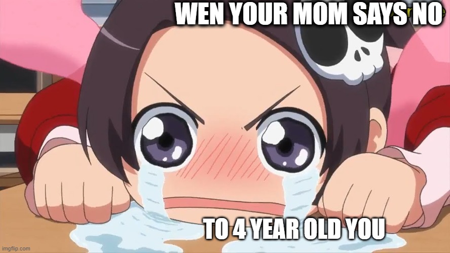 qwq | WEN YOUR MOM SAYS NO; TO 4 YEAR OLD YOU | image tagged in memes | made w/ Imgflip meme maker