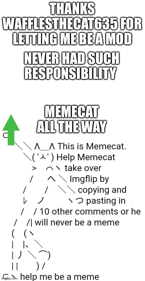 THANKS WAFFLESTHECAT635 FOR LETTING ME BE A MOD; NEVER HAD SUCH RESPONSIBILITY; MEMECAT ALL THE WAY | image tagged in blank white template,memecat | made w/ Imgflip meme maker