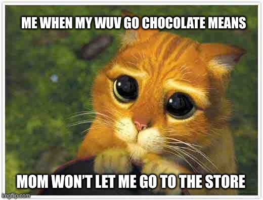 UwO I is hungers fo Choco | ME WHEN MY WUV GO CHOCOLATE MEANS; MOM WON’T LET ME GO TO THE STORE | image tagged in memes,shrek cat | made w/ Imgflip meme maker