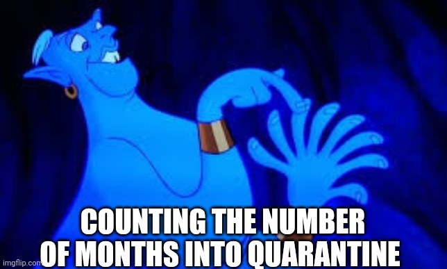 genie counting on fingers |  COUNTING THE NUMBER OF MONTHS INTO QUARANTINE | image tagged in genie counting on fingers | made w/ Imgflip meme maker