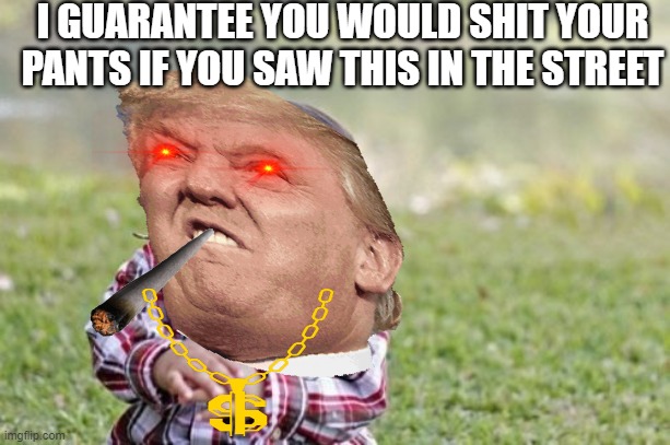 lol | I GUARANTEE YOU WOULD SHIT YOUR PANTS IF YOU SAW THIS IN THE STREET | image tagged in awesome,donald trump,evil toddler | made w/ Imgflip meme maker