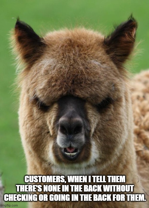 Customers | CUSTOMERS, WHEN I TELL THEM THERE'S NONE IN THE BACK WITHOUT CHECKING OR GOING IN THE BACK FOR THEM. | image tagged in alpaca staredown | made w/ Imgflip meme maker