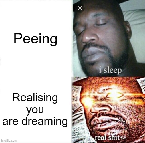 don't pee! it's a trap! | Peeing; Realising you are dreaming | image tagged in memes,sleeping shaq | made w/ Imgflip meme maker