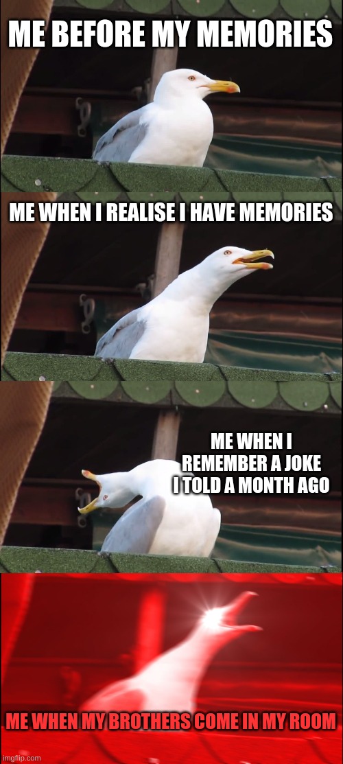 Inhaling Seagull Meme | ME BEFORE MY MEMORIES; ME WHEN I REALISE I HAVE MEMORIES; ME WHEN I REMEMBER A JOKE I TOLD A MONTH AGO; ME WHEN MY BROTHERS COME IN MY ROOM | image tagged in memes,inhaling seagull | made w/ Imgflip meme maker