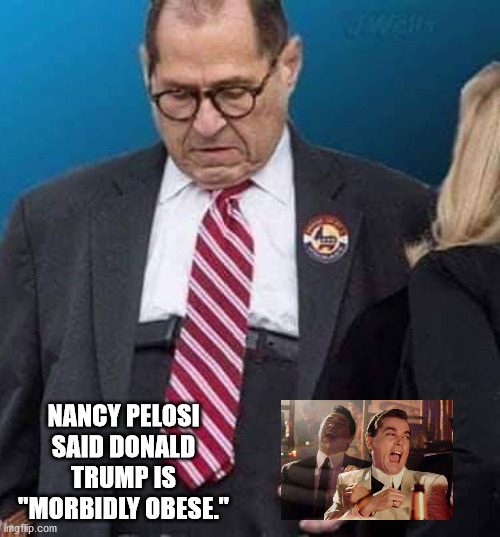 Marked safe from Jerry Nadler's pants. | NANCY PELOSI SAID DONALD TRUMP IS "MORBIDLY OBESE." | image tagged in marked safe from jerry nadler's pants,pelosi,democrats | made w/ Imgflip meme maker