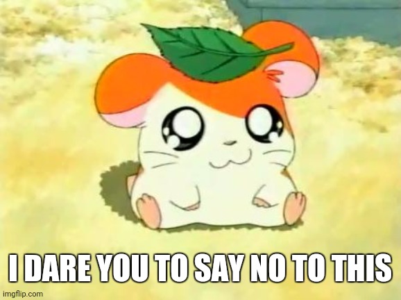 Hamtaro | I DARE YOU TO SAY NO TO THIS | image tagged in memes,hamtaro | made w/ Imgflip meme maker