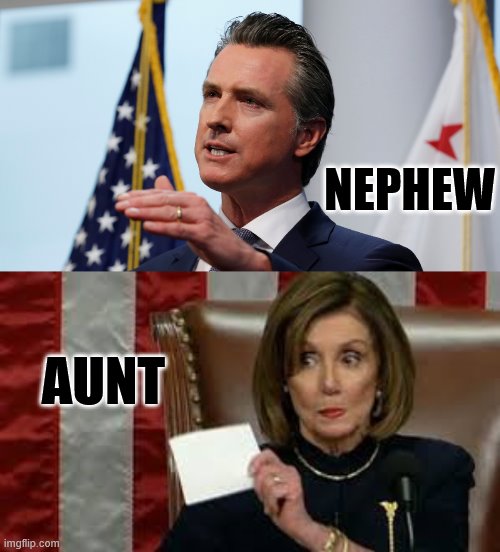 It's A Family Affair | NEPHEW; AUNT | image tagged in memes,politics,gavin,nephew,nancy pelosi,aunt | made w/ Imgflip meme maker