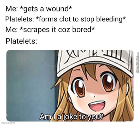 I love the platelets but I swear to god if you lewd them I will kill you | image tagged in cells at work,platelets | made w/ Imgflip meme maker