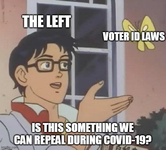 Is This A Pigeon Meme | THE LEFT; VOTER ID LAWS; IS THIS SOMETHING WE CAN REPEAL DURING COVID-19? | image tagged in memes,is this a pigeon | made w/ Imgflip meme maker