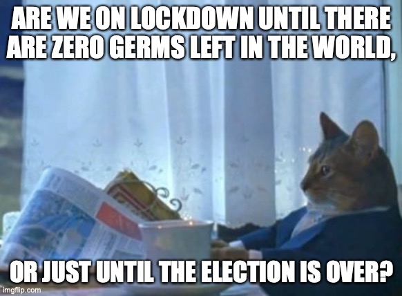 I Should Buy A Boat Cat | ARE WE ON LOCKDOWN UNTIL THERE ARE ZERO GERMS LEFT IN THE WORLD, OR JUST UNTIL THE ELECTION IS OVER? | image tagged in memes,i should buy a boat cat,covid-19 | made w/ Imgflip meme maker