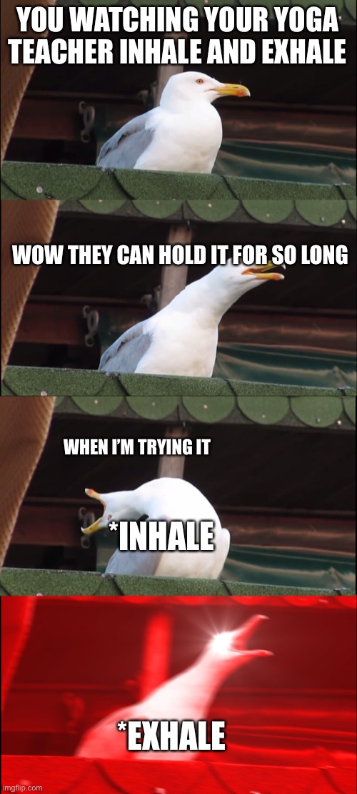 Inhaling Seagull | YOU WATCHING YOUR YOGA TEACHER INHALE AND EXHALE; WOW THEY CAN HOLD IT FOR SO LONG; WHEN I’M TRYING IT; *INHALE; *EXHALE | image tagged in memes,inhaling seagull | made w/ Imgflip meme maker