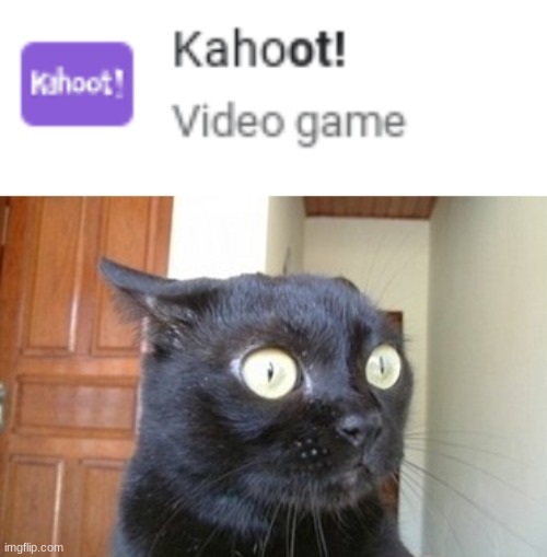 google thinks kahoot is a video game? | image tagged in what has been seen cat | made w/ Imgflip meme maker