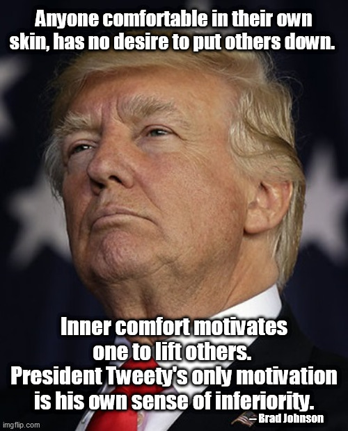 President Tweety | -- Brad Johnson | image tagged in trump,inferiority,small,insecurity | made w/ Imgflip meme maker