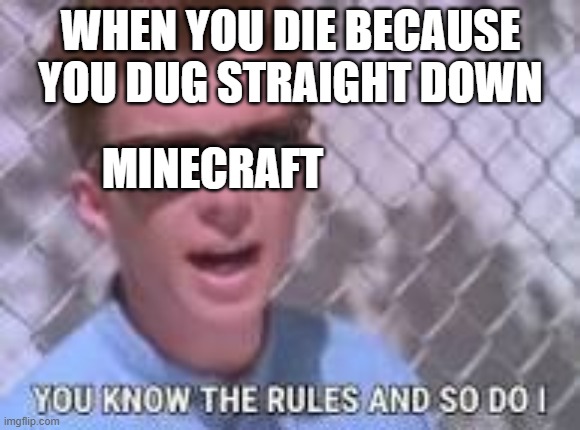 You know the rules and so do I | WHEN YOU DIE BECAUSE YOU DUG STRAIGHT DOWN; MINECRAFT | image tagged in you know the rules and so do i,minecraft | made w/ Imgflip meme maker