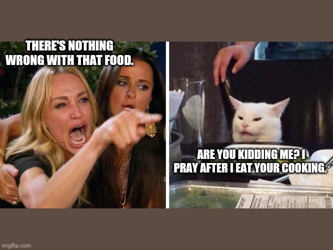 Smudge the cat | THERE'S NOTHING WRONG WITH THAT FOOD. ARE YOU KIDDING ME? I PRAY AFTER I EAT YOUR COOKING. | image tagged in smudge the cat | made w/ Imgflip meme maker