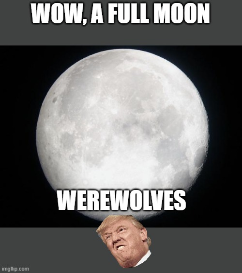 and i oop | WOW, A FULL MOON; WEREWOLVES | image tagged in full moon | made w/ Imgflip meme maker