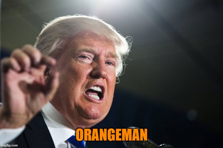 donald trump | ORANGEMAN | image tagged in donald trump | made w/ Imgflip meme maker