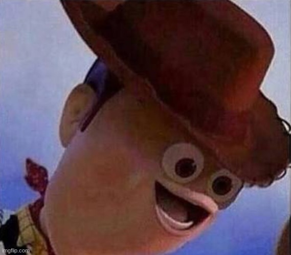 Derp Woody | image tagged in derp woody | made w/ Imgflip meme maker