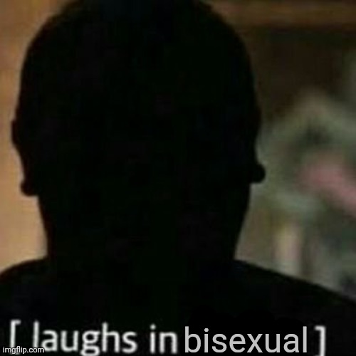 laughs in hidden | bisexual | image tagged in laughs in hidden | made w/ Imgflip meme maker