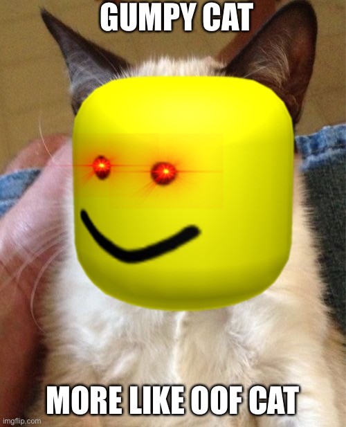 OOF CAT | GUMPY CAT; MORE LIKE OOF CAT | image tagged in grumpy cat,oof,xd,wtf | made w/ Imgflip meme maker