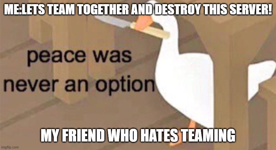 dont team ever | ME:LETS TEAM TOGETHER AND DESTROY THIS SERVER! MY FRIEND WHO HATES TEAMING | image tagged in untitled goose peace was never an option | made w/ Imgflip meme maker
