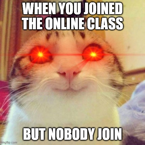 online class meme | WHEN YOU JOINED THE ONLINE CLASS; BUT NOBODY JOIN | image tagged in smiling cat | made w/ Imgflip meme maker