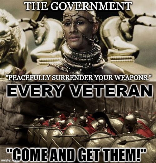 Don't mess with veterans.... | THE GOVERNMENT; "PEACEFULLY SURRENDER YOUR WEAPONS."; EVERY VETERAN; "COME AND GET THEM!" | image tagged in xerxes,300 spartans phalanx | made w/ Imgflip meme maker