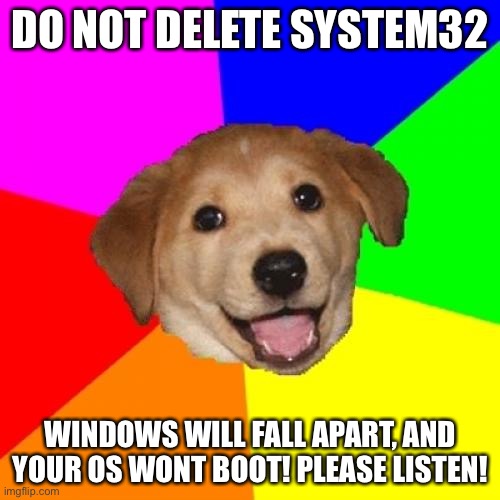 Dont delete system32... | DO NOT DELETE SYSTEM32; WINDOWS WILL FALL APART, AND YOUR OS WONT BOOT! PLEASE LISTEN! | image tagged in memes,advice dog | made w/ Imgflip meme maker