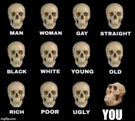 Xx_youaregorilla_xX | YOU | image tagged in idiot skull,you | made w/ Imgflip meme maker