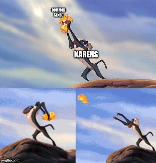 Karens | COMMON SENSE; KARENS | image tagged in simba rafiki lion king | made w/ Imgflip meme maker