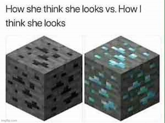 How She Really Looks | image tagged in minecraft,memes,funny memes | made w/ Imgflip meme maker