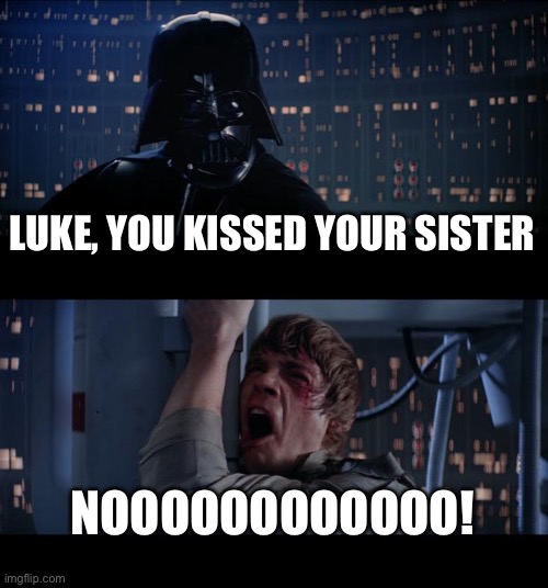 Yeah he did | LUKE, YOU KISSED YOUR SISTER; NOOOOOOOOOOOO! | image tagged in memes,star wars no | made w/ Imgflip meme maker