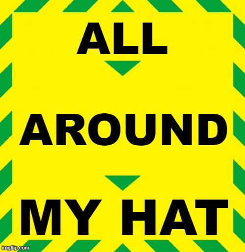 ALL AROUND MY HAT | ALL; AROUND; MY HAT | image tagged in stay alert | made w/ Imgflip meme maker