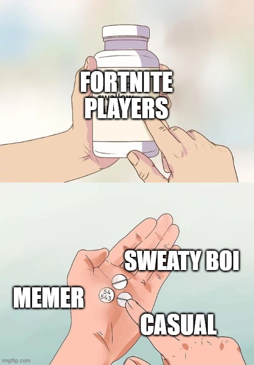 There's 3 different types people in this world | FORTNITE PLAYERS; SWEATY BOI; MEMER; CASUAL | image tagged in memes,hard to swallow pills | made w/ Imgflip meme maker