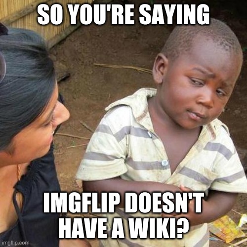 WELL IT SHOULD | SO YOU'RE SAYING; IMGFLIP DOESN'T HAVE A WIKI? | image tagged in memes,third world skeptical kid,wiki,wikipedia,imgflip,imgflip wiki | made w/ Imgflip meme maker