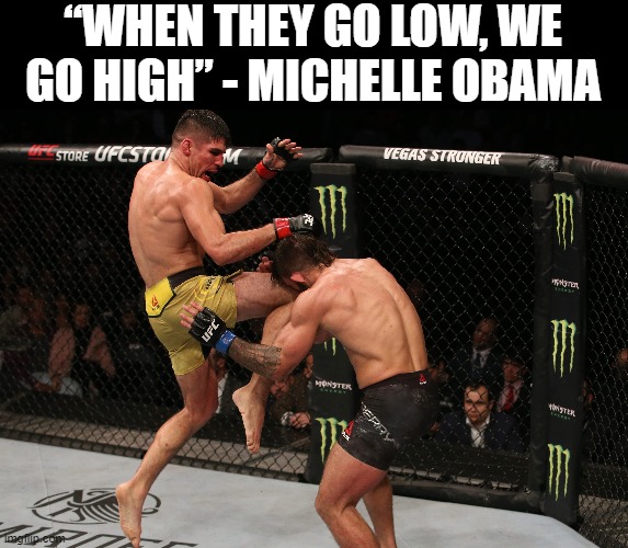 Go High | “WHEN THEY GO LOW, WE GO HIGH” - MICHELLE OBAMA | image tagged in when they go low,we go high,obama,michelle,ufc,knee to the face | made w/ Imgflip meme maker