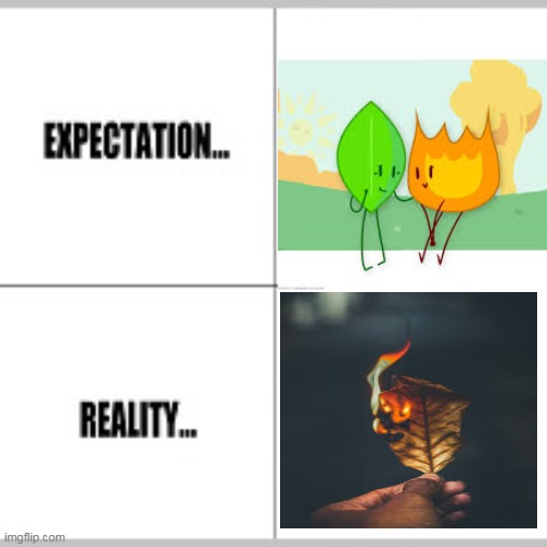 Logical | image tagged in expectation vs reality | made w/ Imgflip meme maker