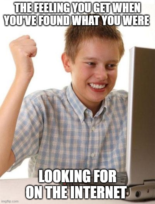 When you're finally found | THE FEELING YOU GET WHEN YOU'VE FOUND WHAT YOU WERE; LOOKING FOR ON THE INTERNET | image tagged in memes,first day on the internet kid | made w/ Imgflip meme maker