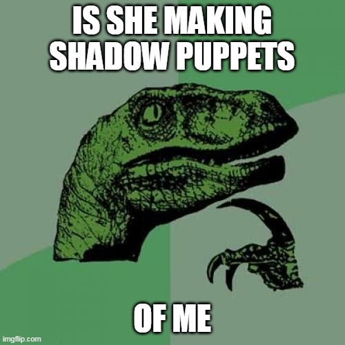 Philosoraptor Meme | IS SHE MAKING SHADOW PUPPETS OF ME | image tagged in memes,philosoraptor | made w/ Imgflip meme maker