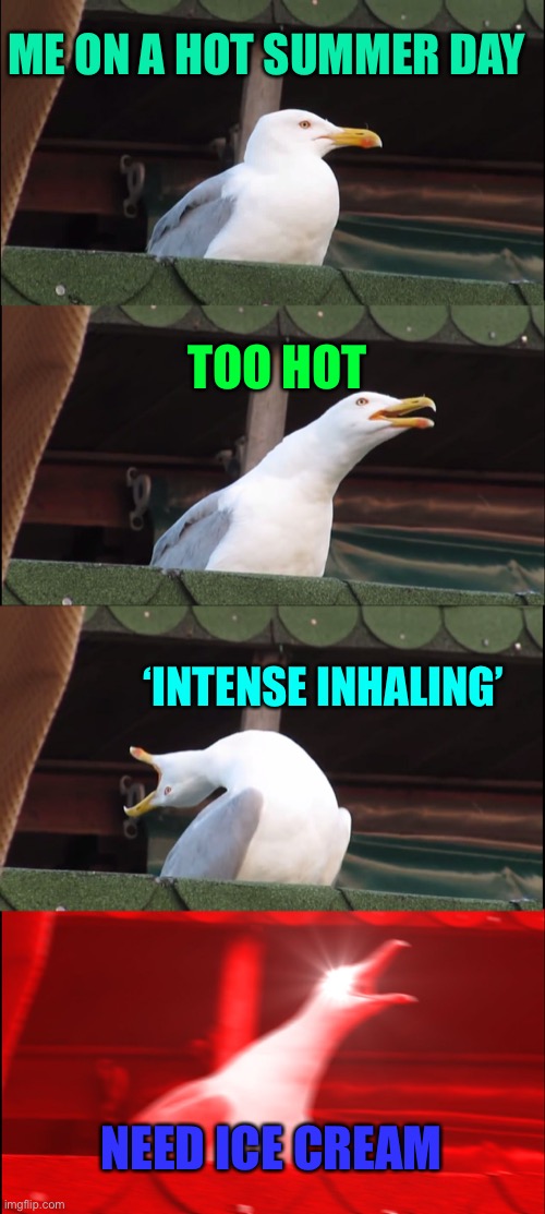 #summer? | ME ON A HOT SUMMER DAY; TOO HOT; ‘INTENSE INHALING’; NEED ICE CREAM | image tagged in memes,inhaling seagull | made w/ Imgflip meme maker