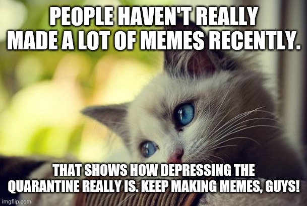 First World Problems Cat Meme | PEOPLE HAVEN'T REALLY MADE A LOT OF MEMES RECENTLY. THAT SHOWS HOW DEPRESSING THE QUARANTINE REALLY IS. KEEP MAKING MEMES, GUYS! | image tagged in memes,first world problems cat | made w/ Imgflip meme maker