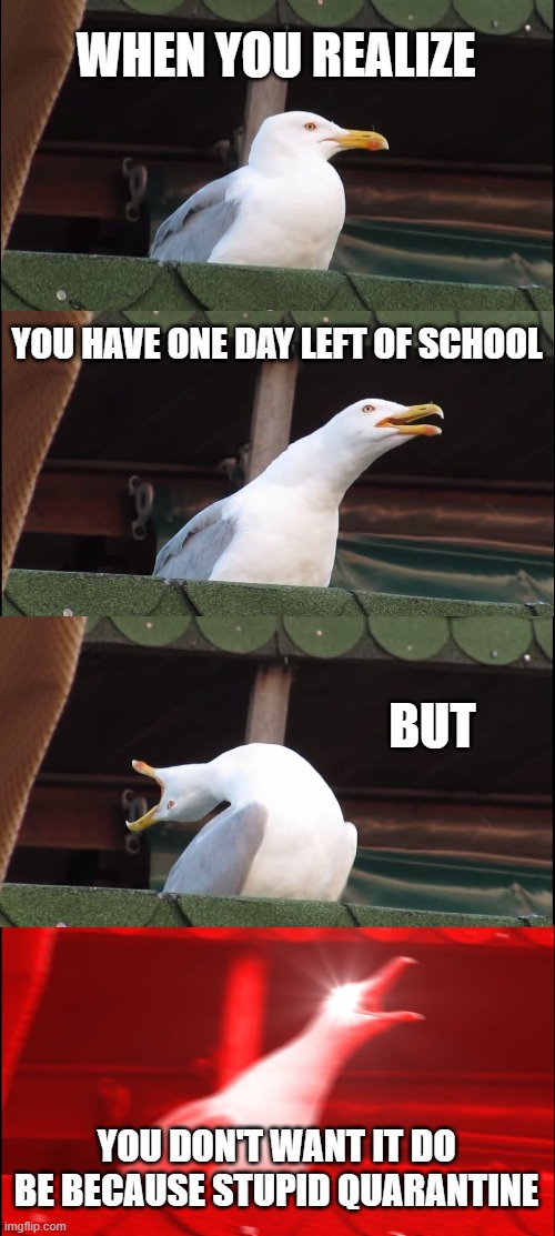 Inhaling Seagull Meme | WHEN YOU REALIZE; YOU HAVE ONE DAY LEFT OF SCHOOL; BUT; YOU DON'T WANT IT DO BE BECAUSE STUPID QUARANTINE | image tagged in memes,inhaling seagull | made w/ Imgflip meme maker